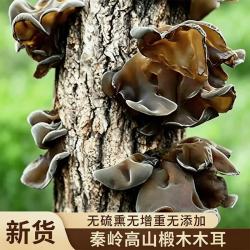 菌裕 秦岭黑木耳500g