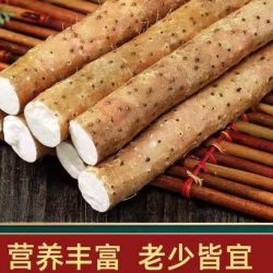 果邮 河南焦作温县垆土铁棍山药