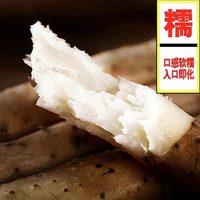 果邮 河南焦作温县垆土铁棍山药  5斤