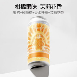 何以解忧 纸飞机橘啵啵西打果酒精酿啤酒 纸飞机橘啵啵 6罐