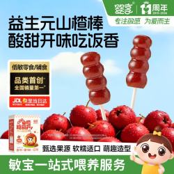 婴享 益生元山楂糖葫芦棒棒糖敏宝零食儿童营养食品送婴幼儿宝宝辅食谱