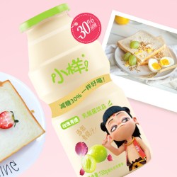 小样 减糖乳酸菌饮品100g*24瓶儿童含乳饮料益生菌早餐奶青提味