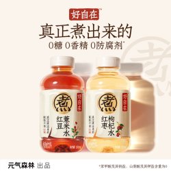 元气森林 Genki Forest 元气森林 自在水 红豆薏米水500mL×15瓶+红枣枸杞水500mL×15瓶+清爽绿豆水500mL×15瓶+陈皮山楂水500mL×15瓶+金银花雪梨500mL×15瓶