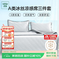 然牌 豆豆冰丝凉席两件套 A类凉感席 可机洗空调席 120*200cm灰
