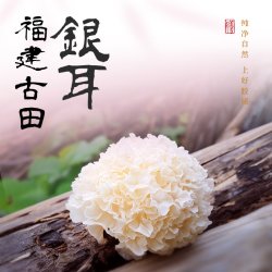 西麦 燕窝银耳燕麦片营养早餐冲泡即食健康代餐食品燕麦片含蛋白