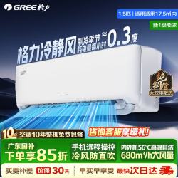 格力 挂机 冷静风 大1匹 一级能效 限广东国补