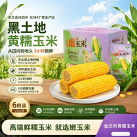 金沙河 黄甜糯玉米230g*6根 真空包装 东北粘玉米棒 低脂早餐（箱装）