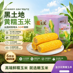 金沙河 黄甜糯玉米230g*6根 真空包装 东北粘玉米棒 低脂早餐（箱装）