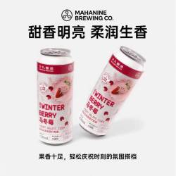 大九 马冬莓酸奶冰淇淋西打啤酒 500ml*2罐 草莓果酱精酿果啤