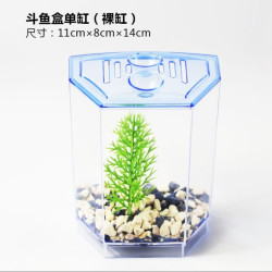 双格斗鱼盒迷你水族箱繁殖隔离盒