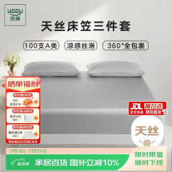 然牌 100%莱赛尔天丝 A类夏天冰丝三件套 床笠床垫保护罩+枕套一对 银霜灰 1.8米床