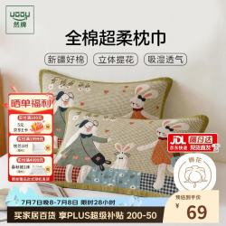 然牌 A类抗菌100%纯棉枕巾 防油防汗加大加厚枕头巾 一对装 50*80cm