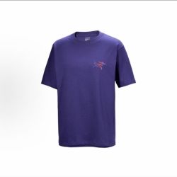 ARC'TERYX Arcteryx始祖鸟 KRAGG SL COTTON BIRD WORD SHIRT SS棉T恤X8464