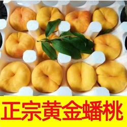 栀舒 特大果 山东蒙阴 黄金蟠桃 2.5斤装 4-7个
