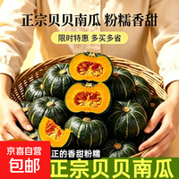 京喜 真贝贝南瓜5斤 板栗味宝宝辅食蔬菜新鲜日本老粉贝贝小南瓜1斤3斤 贝贝南瓜2斤 1.7斤