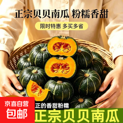 京喜 真贝贝南瓜5斤 板栗味宝宝辅食蔬菜新鲜日本老粉贝贝小南瓜1斤3斤 贝贝南瓜2斤 1.7斤