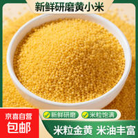 京喜 黄小米 油小米月子米 五谷杂粮宝宝辅食小米粥熬粥搭配大米孕 黄小米1斤