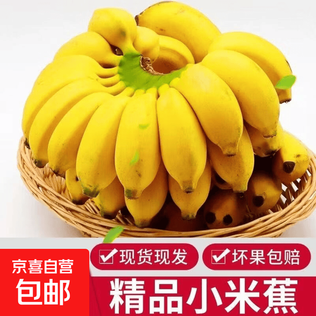 京喜 香蕉小米蕉带箱5斤自营包邮