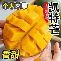 松原产业 凯特芒 国产大脸芒果 9斤