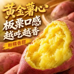 小憨哇 正宗板栗红薯地瓜蜜薯新鲜番薯香薯沙地蜜薯山芋当季新鲜蔬菜 5斤甄选装净重4斤