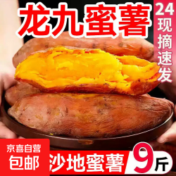 京喜 新鲜西瓜红蜜薯沙地蜜薯红心地瓜山芋生鲜蔬菜软糯香甜宝宝辅食 新鲜蜜薯 2斤（1-3两）中小果