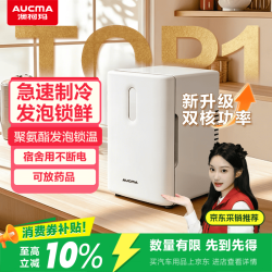 澳柯玛 AC-12R 车载冰箱 279mm*315mm*400mm