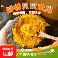 京喜 正宗贝贝小南瓜板栗味老南瓜批发孕妇宝宝辅食新鲜蔬菜 优选带箱1斤装单果300g+