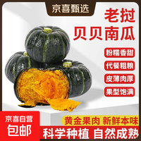 京喜 新鲜贝贝南瓜新鲜当季贝贝南瓜粉糯香甜孕妇婴儿辅食蔬菜 老挝进口贝贝南瓜净重 1斤 粉糯香甜