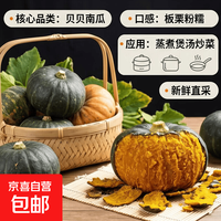 京喜 贝贝南瓜板栗味粉糯香甜婴儿辅食新鲜南瓜 1斤