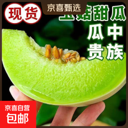 新鲜头茬香甜冰激淋玉菇甜瓜 3-4斤（1-2粒）