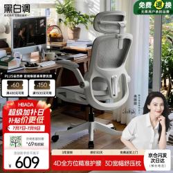 黑白调 P2 Pro 人体工学椅 霜白 标配款