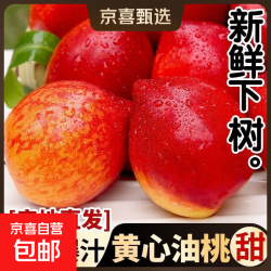 京喜自营-专用品牌 山西/山东黄肉红油桃 香甜多汁 硬吃脆甜 软吃爆汁 新鲜采摘桃子 带箱5斤果王（净重4.5斤 ）