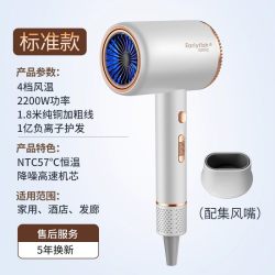 早鱼 德系电吹风机负离子护发静音速干家用宿舍用学生大风力吹头发风筒