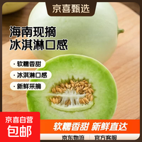 东东农场 头茬玉菇甜瓜 2-3斤