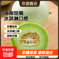 东东农场 头茬玉菇甜瓜 2-3斤