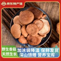 玉燕妃 云南野生新鲜香菇 200g