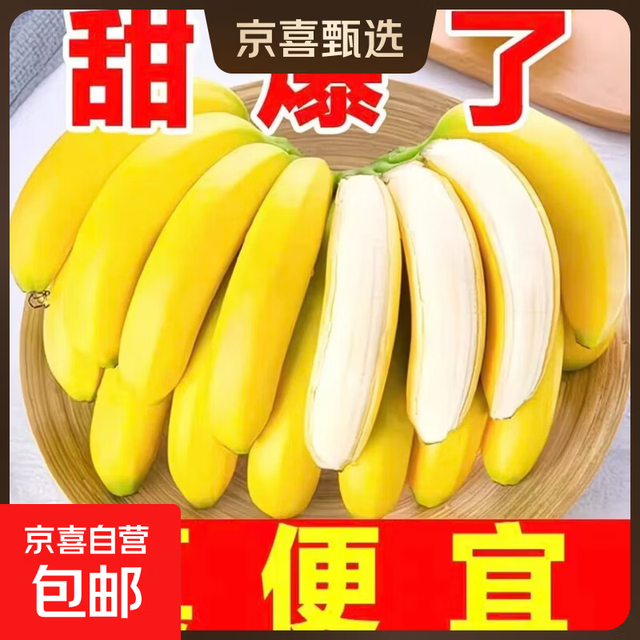 京喜加 广西高山青皮香蕉 8斤装