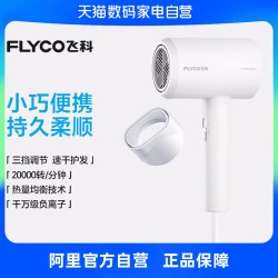 飞科 吹风机家用负离子护发大功率大风力官方旗舰正品电吹风-223
