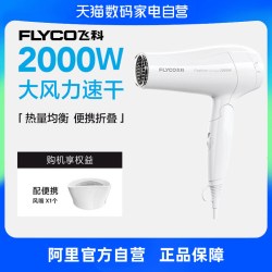飞科 吹风机家用大功率护发折叠速干电吹风官方旗舰正品FH6232-223