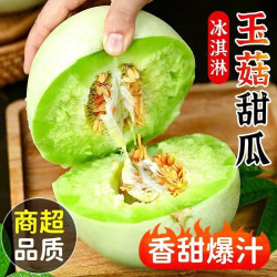 春福乐 山东玉菇甜瓜 2.5斤 新鲜水果