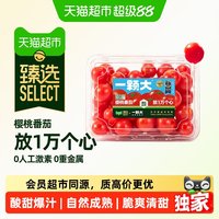 移动端、88VIP：一颗大 樱桃番茄精品粒装酸甜爆汁基地