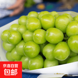 云南 阳光玫瑰青提晴王葡萄 3-3.6斤 单果6g