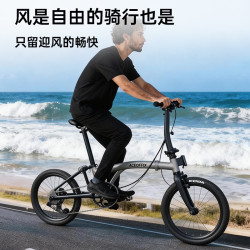 ACEOFFIX 三折叠自行车D10 18英寸10档变速男女运动通勤可折叠单车 钛灰色