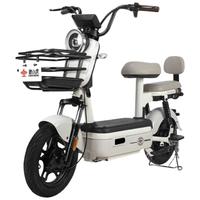 限地区：驰小虎 长续航 电动自行车 48V20Ah电池