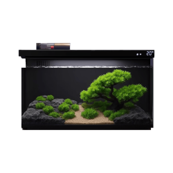 疯狂水草 天然贝壳海螺适配小米鱼缸造景水族箱全套布景海星装饰生态摆件 鱼缸造景（不含缸）