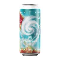 纸飞机酿造 飓风 DDH浑浊IPA精酿啤酒 473ml*2罐 国际获奖IPA#值酒发现官#