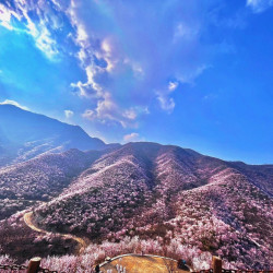 北京后花园（昌平区）-门票+抓大鱼