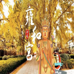 成人雍和宫门票自行参观票