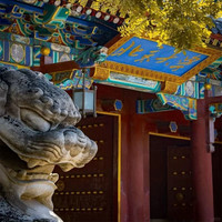 移动端:北京大学自由行校内游玩当天可约满了也可以