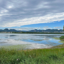 青龙湖公园-6人门票+自助烧烤用具票